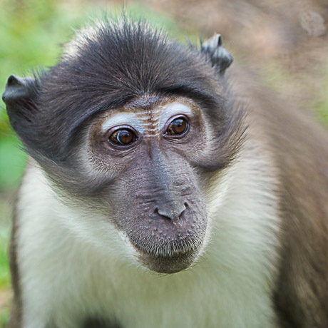 Zoo-Safari mit der Kamera - Foto-Workshop für Jugendliche im Zoo Osnabrück