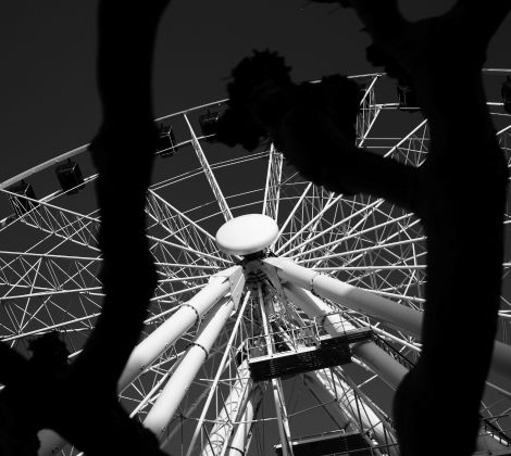 Fujifilm Community Abend